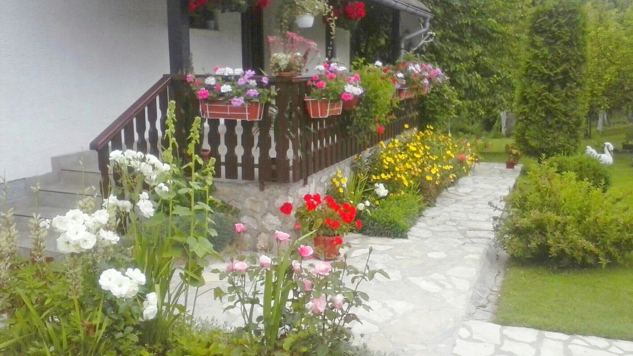 Photo of Outdoor in Poljanak