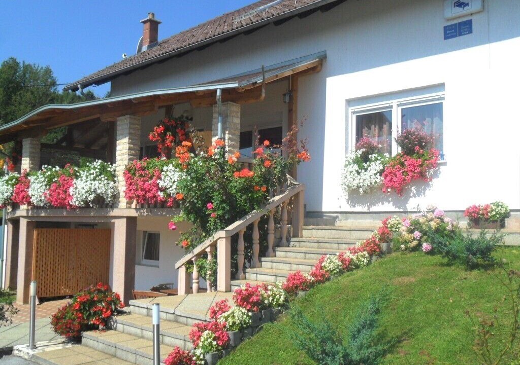 Photo of Outdoor in Grabovac