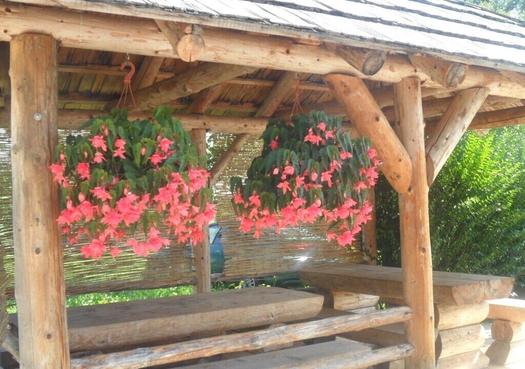 Photo of Outdoor in Grabovac