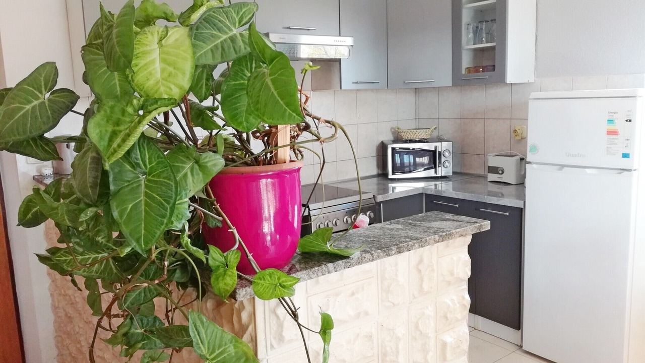Photo of Kitchen in Kastel Novi