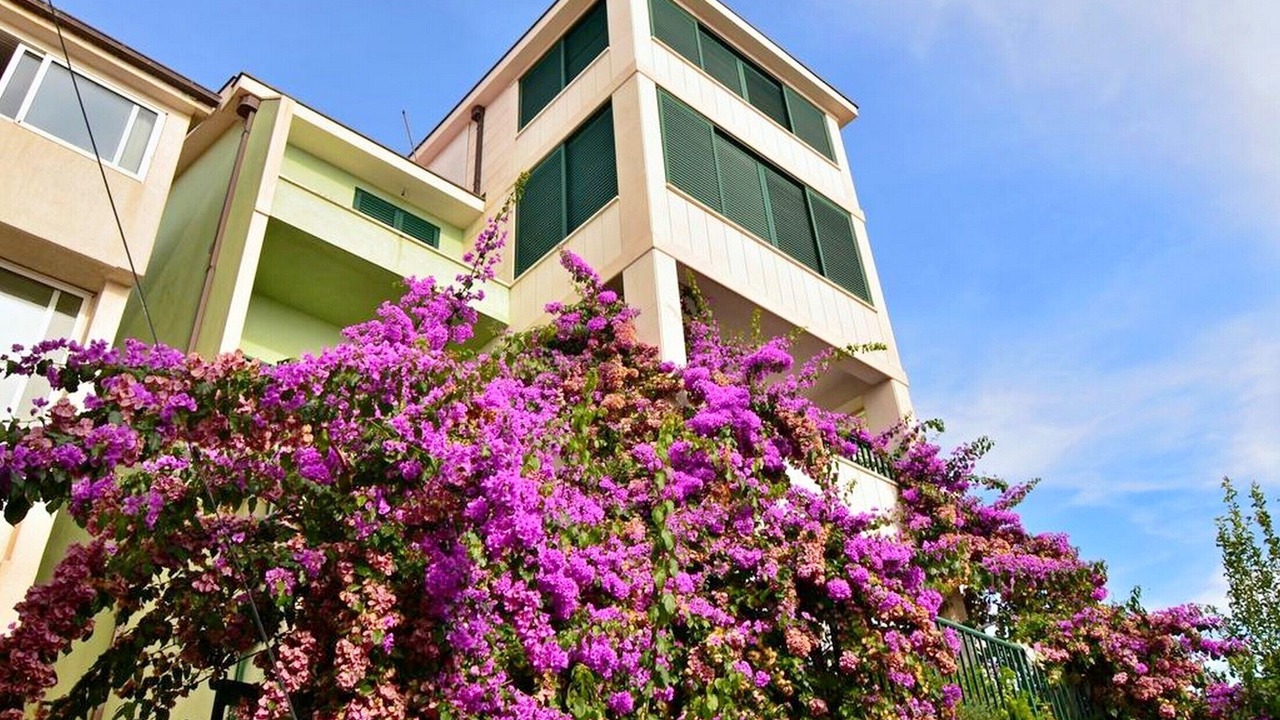 Photo of Outdoor in Bili brig