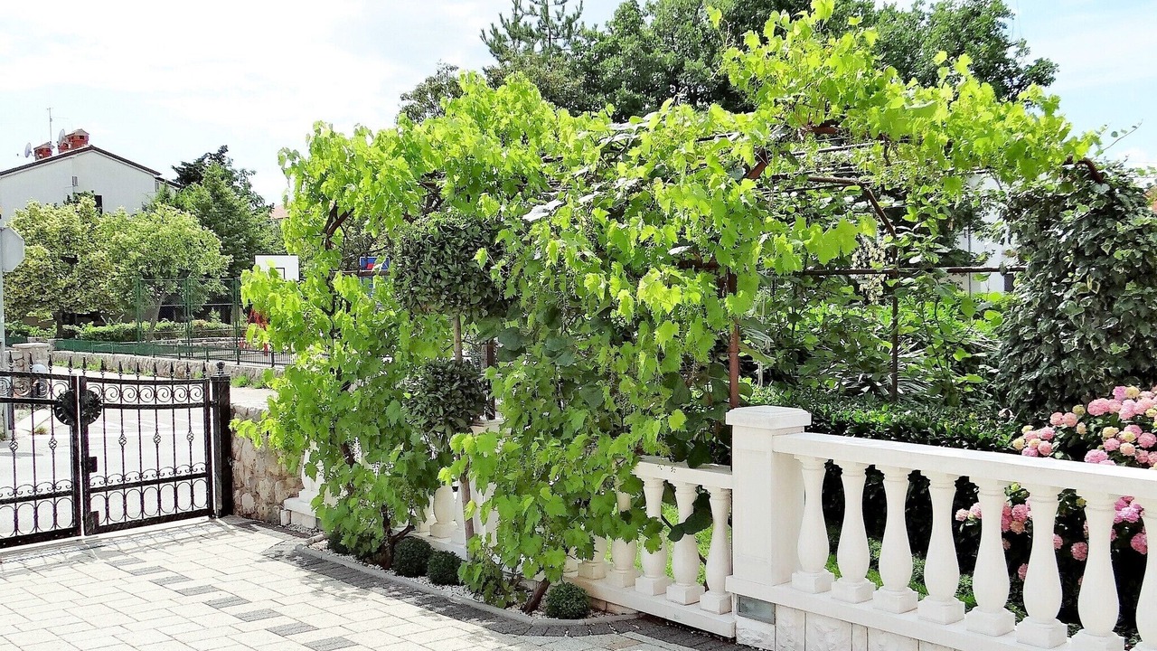 Photo of Outdoor in Malinska-Dubasnica