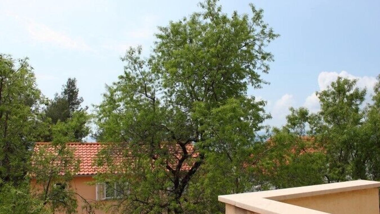 Photo of Outdoor in Stankovici