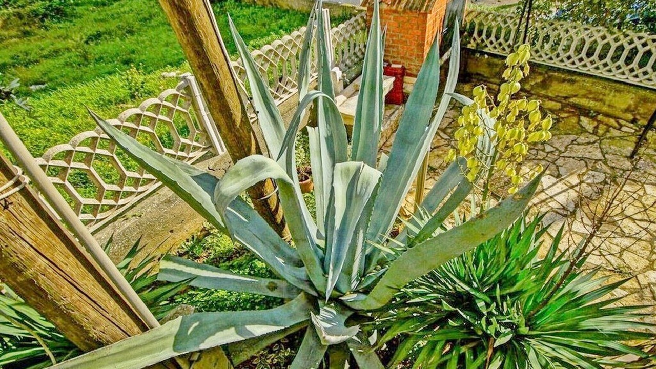 Photo of Outdoor in Zdrelac