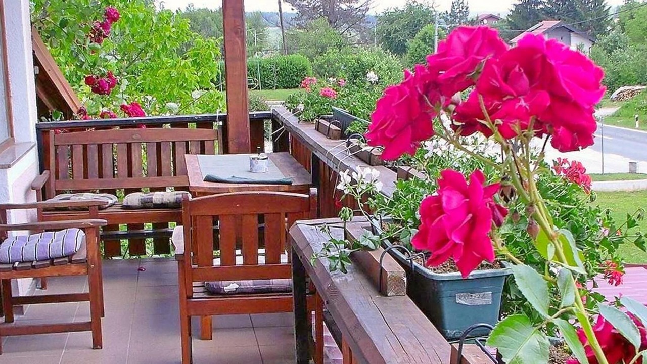 Photo of Outdoor in Grabovac