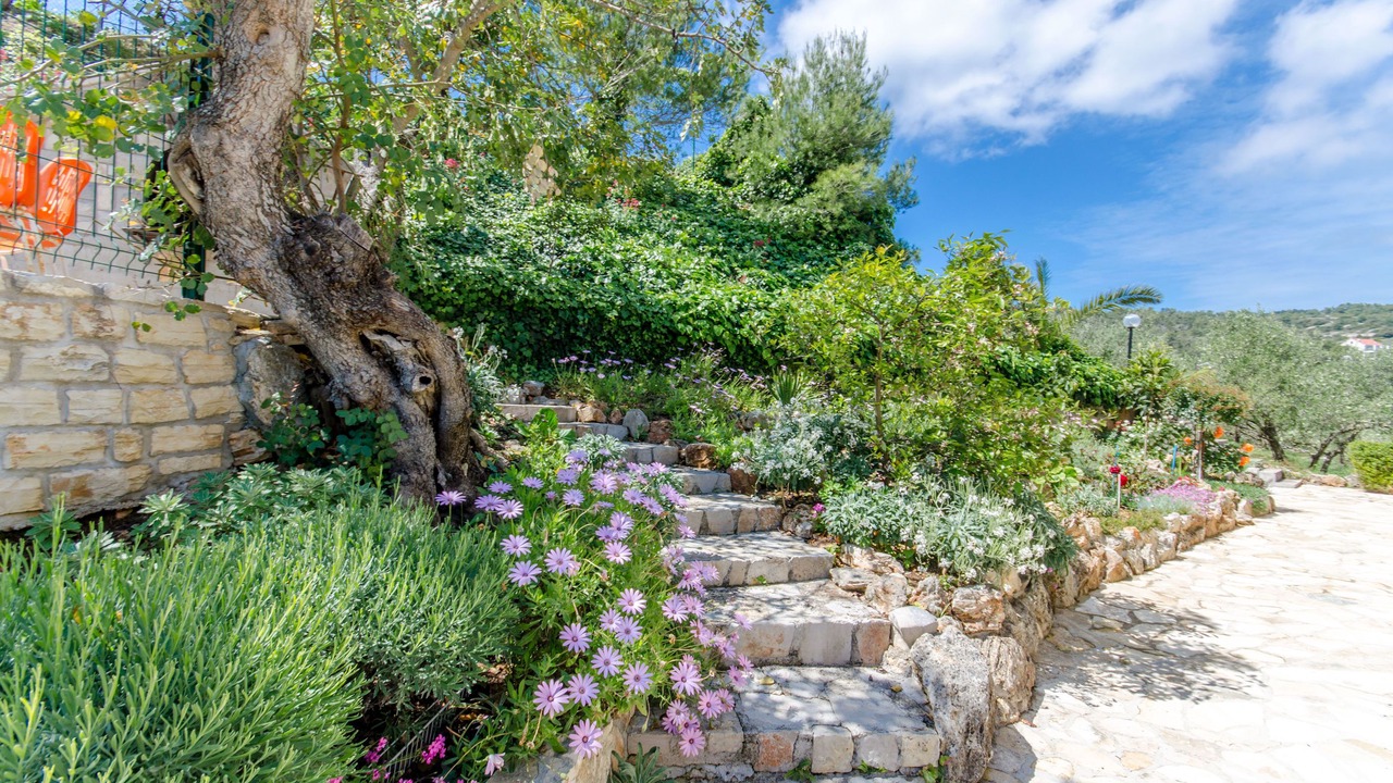 Photo of Outdoor in Stomorska