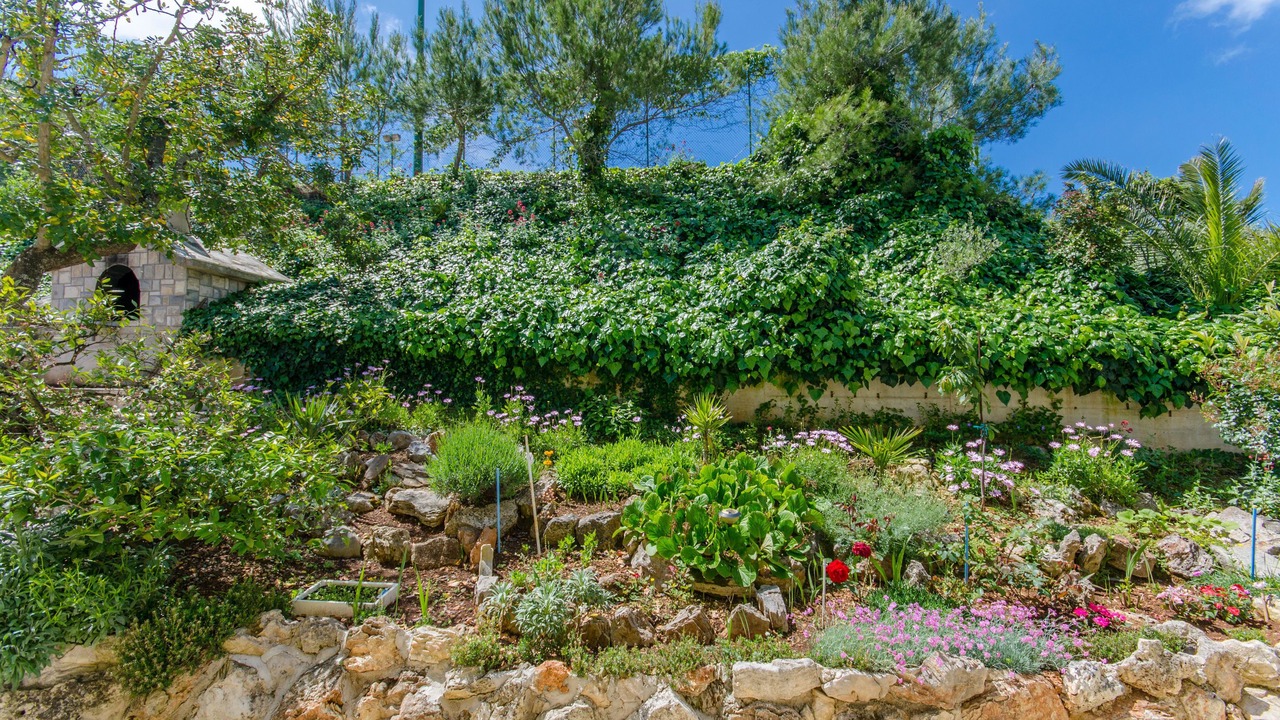 Photo of Outdoor in Stomorska
