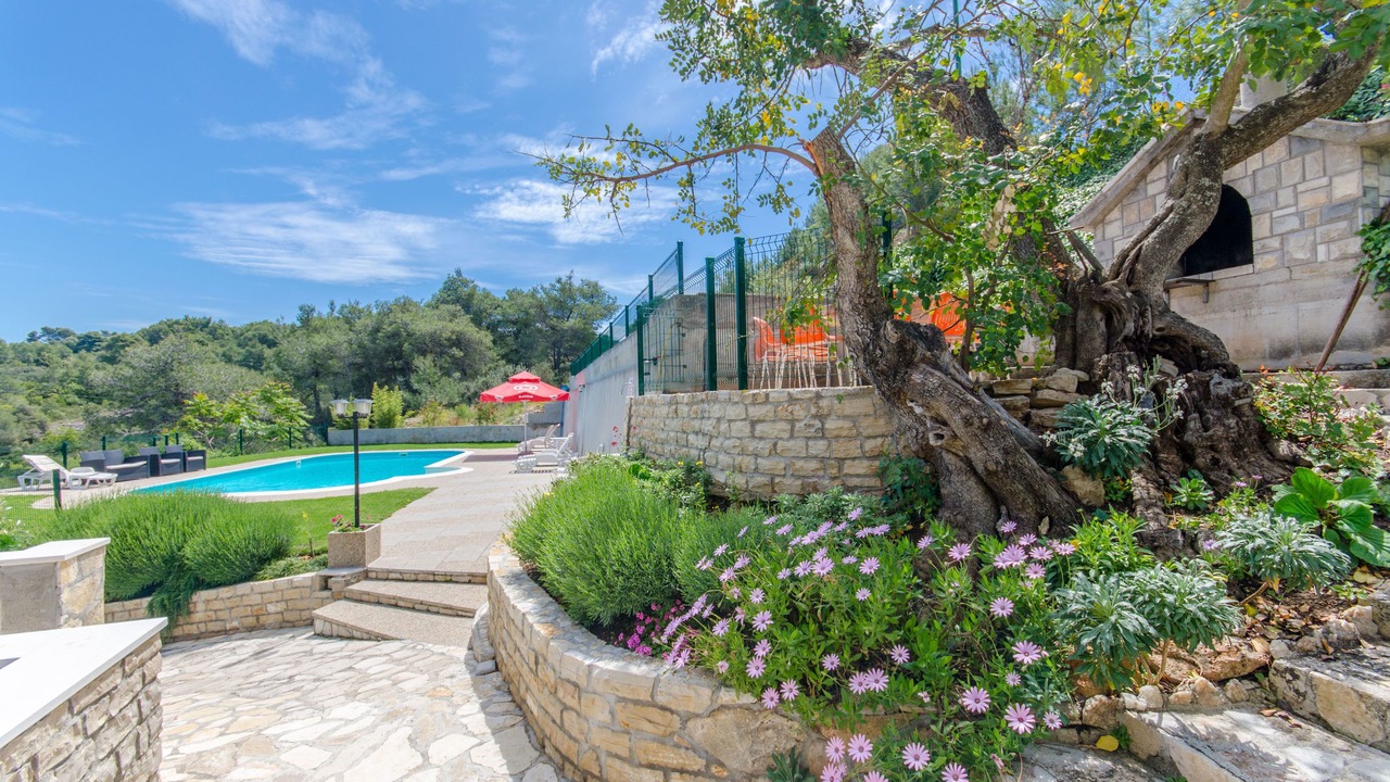 Photo of Outdoor in Stomorska