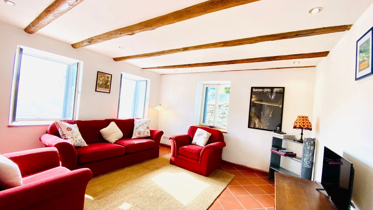 Photo of Livingroom in Ciginj