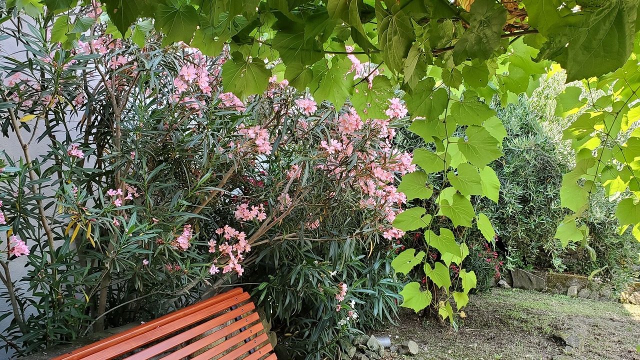 Photo of Outdoor in Kostabona