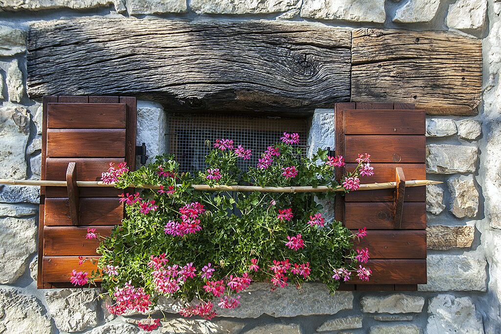 Photo of Others in Buzet