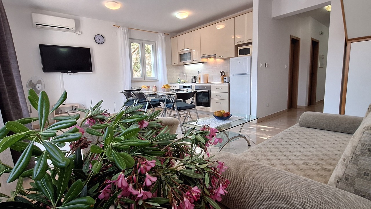 Photo of Livingroom in Cove Osibova (Milna)