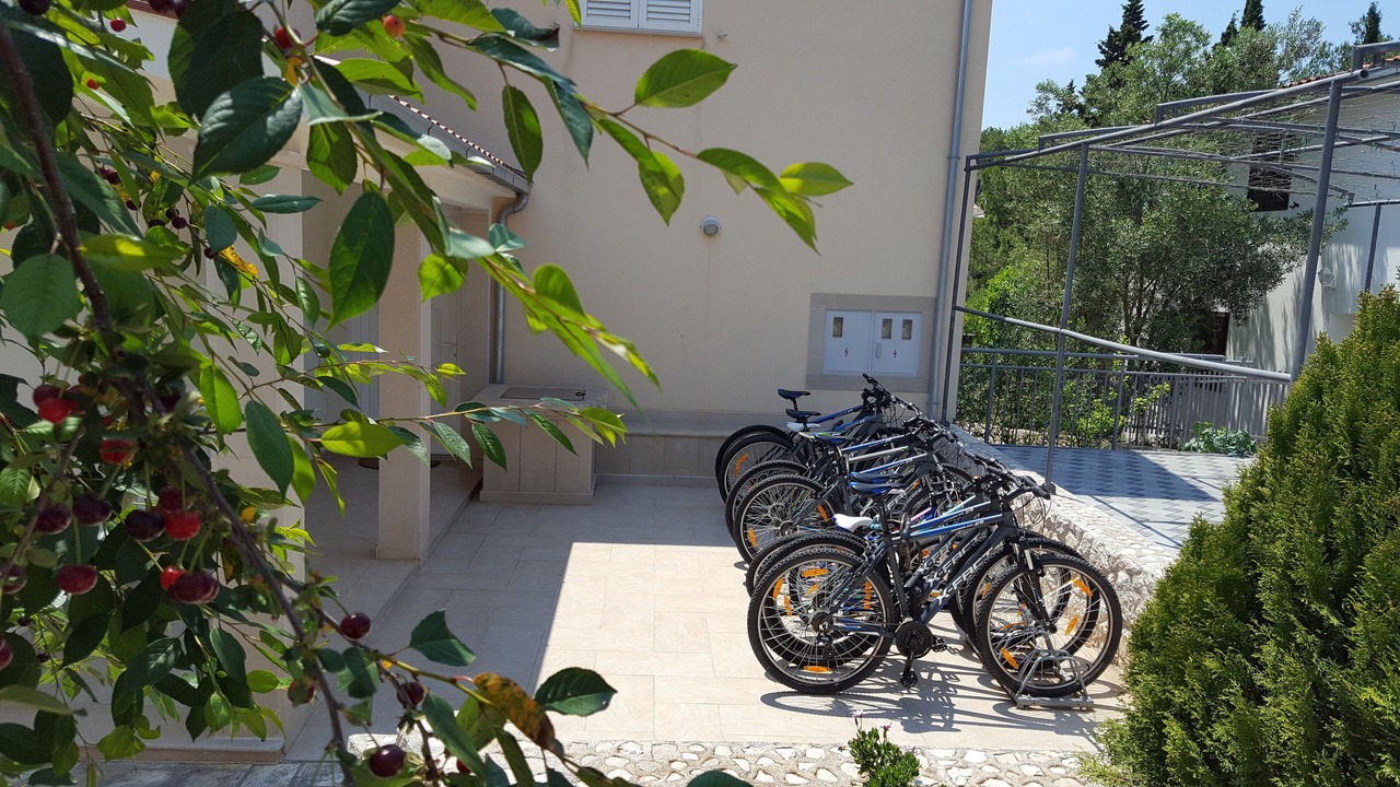 Photo of Outdoor in Cove Osibova (Milna)