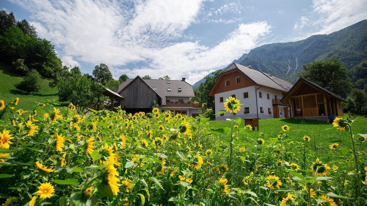 Photo of Outdoor in Lom pod Storzicem