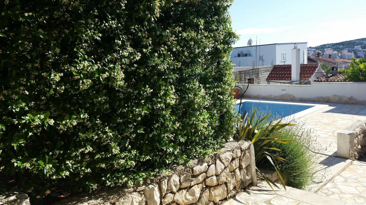 Photo of Outdoor in Okrug Gornji