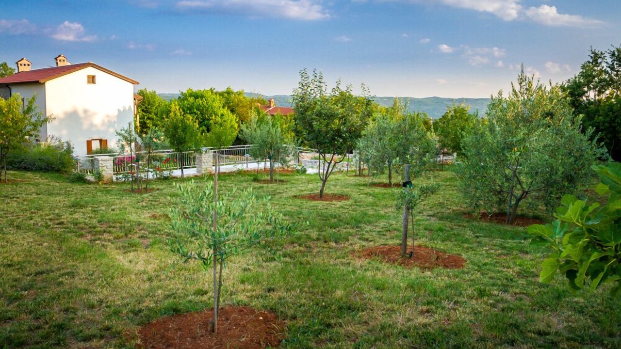Photo of Outdoor in Kras