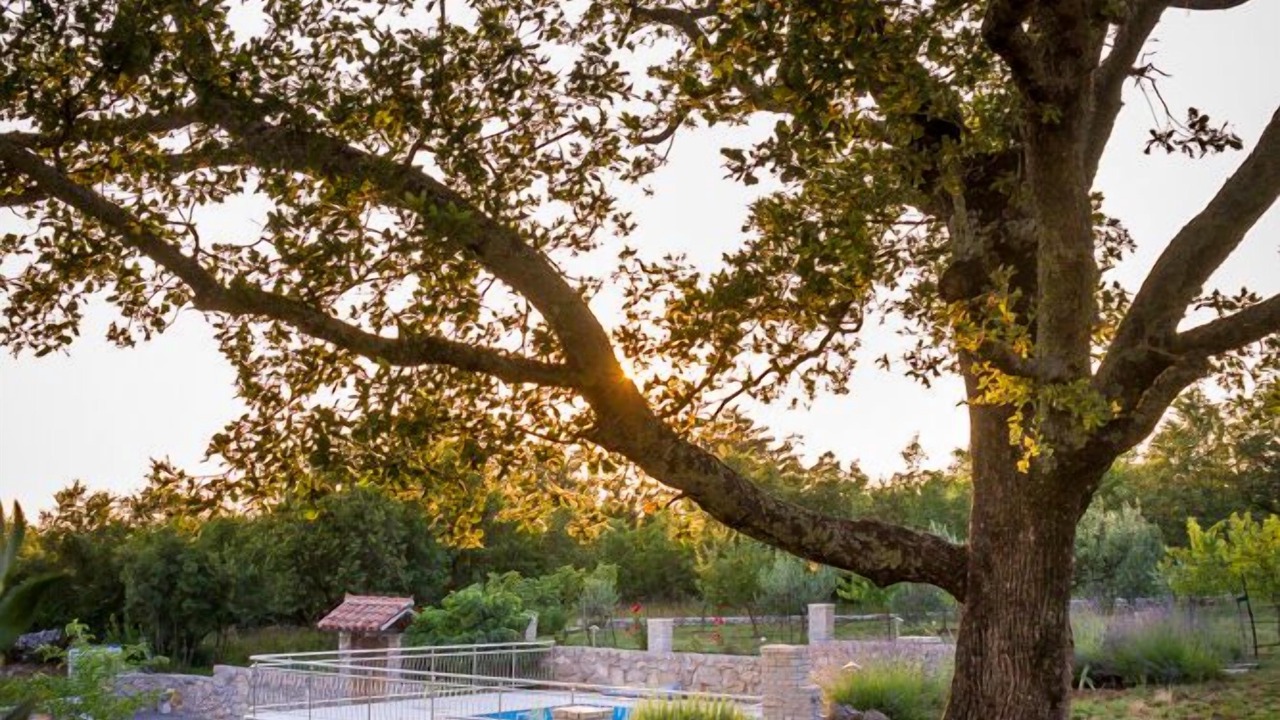 Photo of Outdoor in Kras