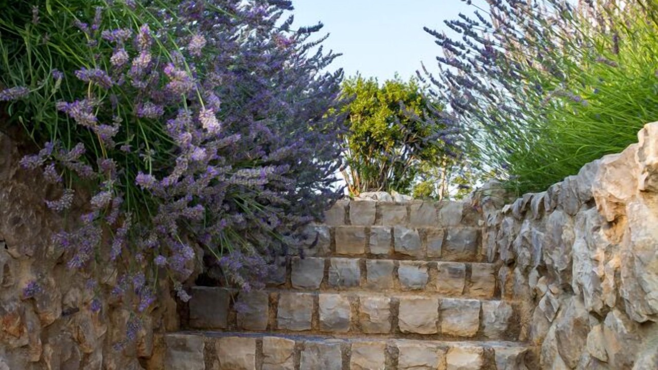 Photo of Outdoor in Kras