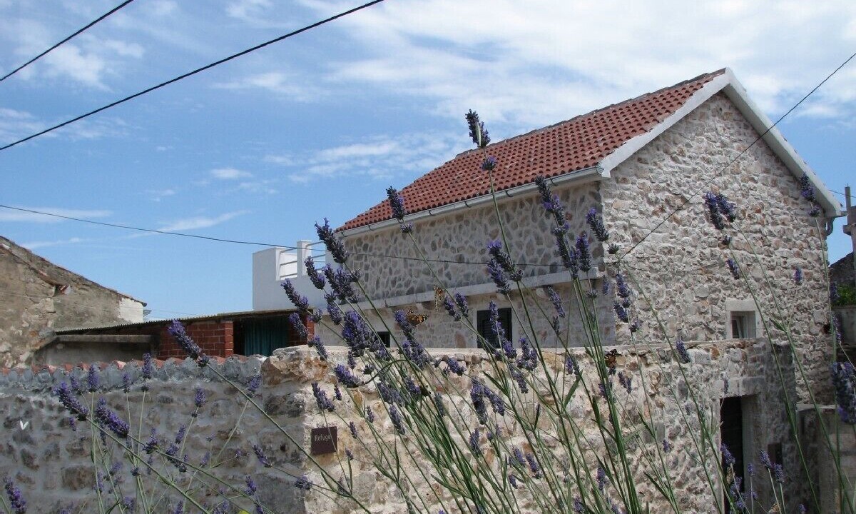 Photo of Outdoor in Preko