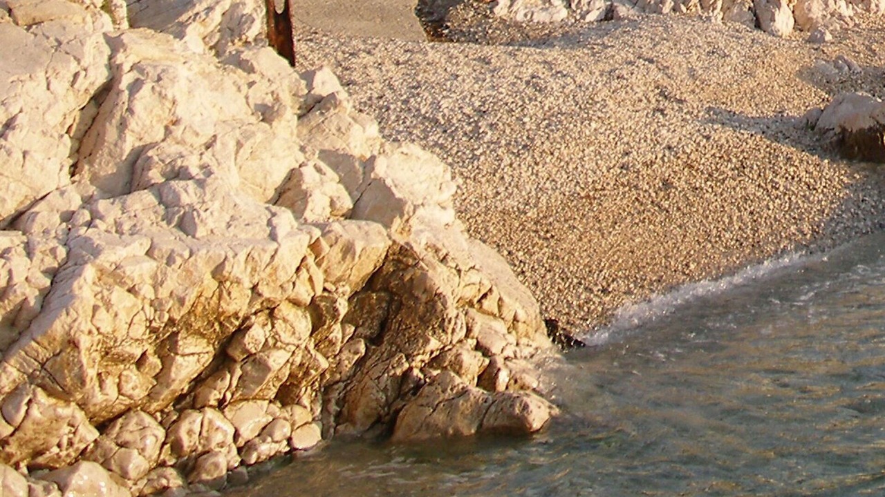 Photo of Others in Zurkovo
