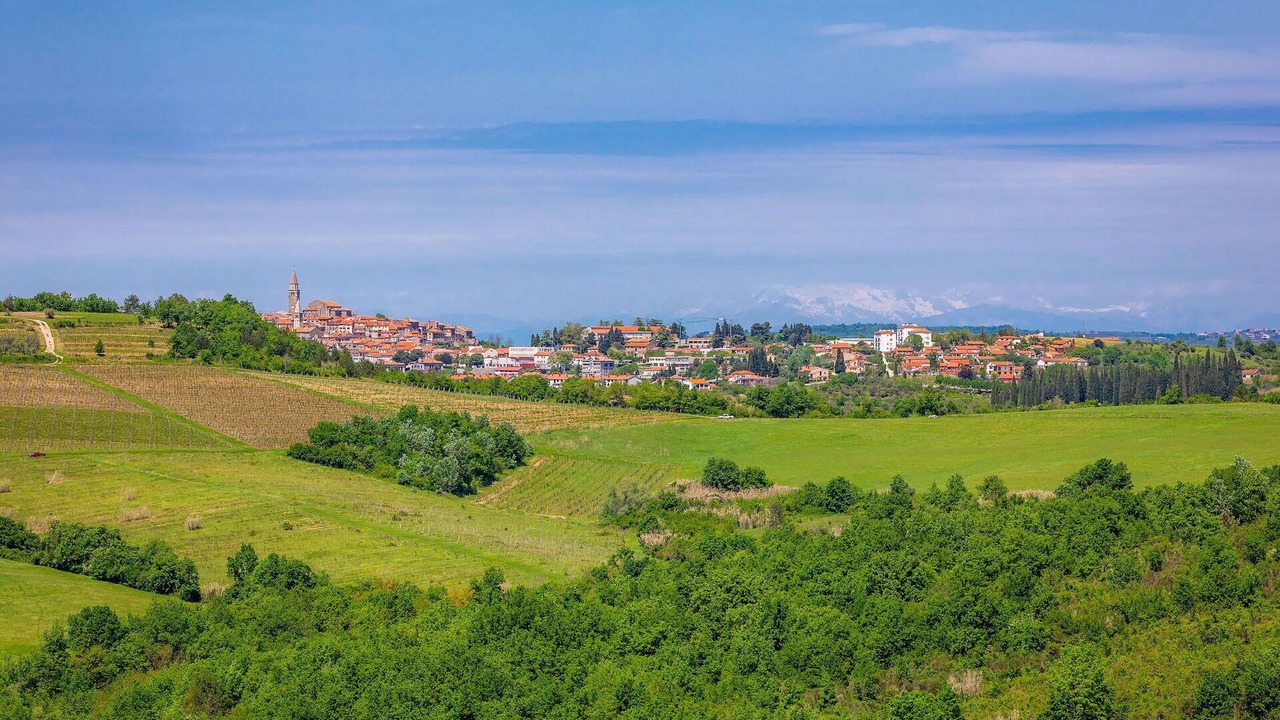 Photo of Others in Baredine