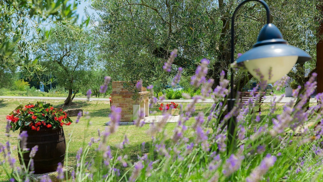 Photo of Outdoor in Vintijan