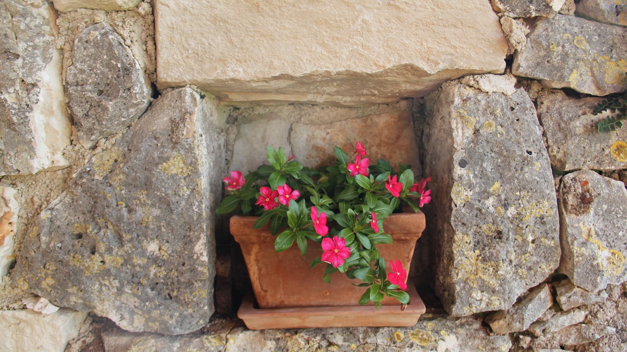 Photo of Outdoor in Prodol