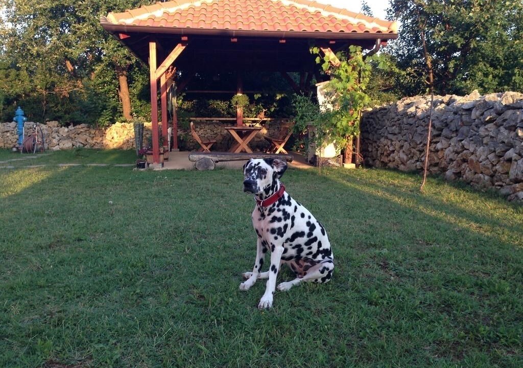 Photo of Outdoor in Zaton
