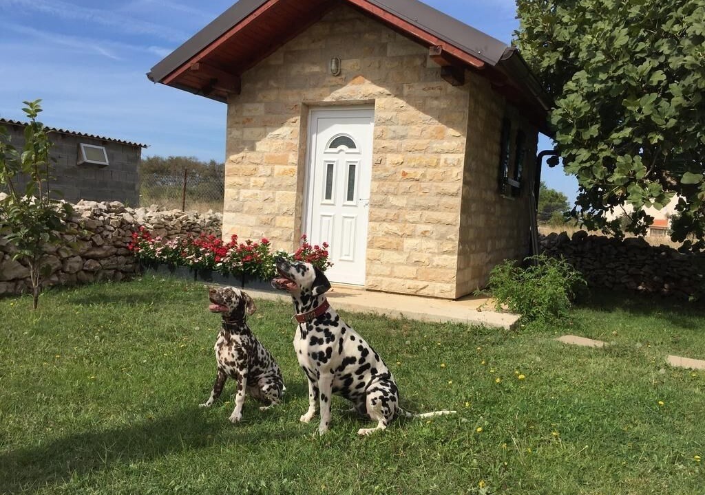 Photo of Outdoor in Zaton