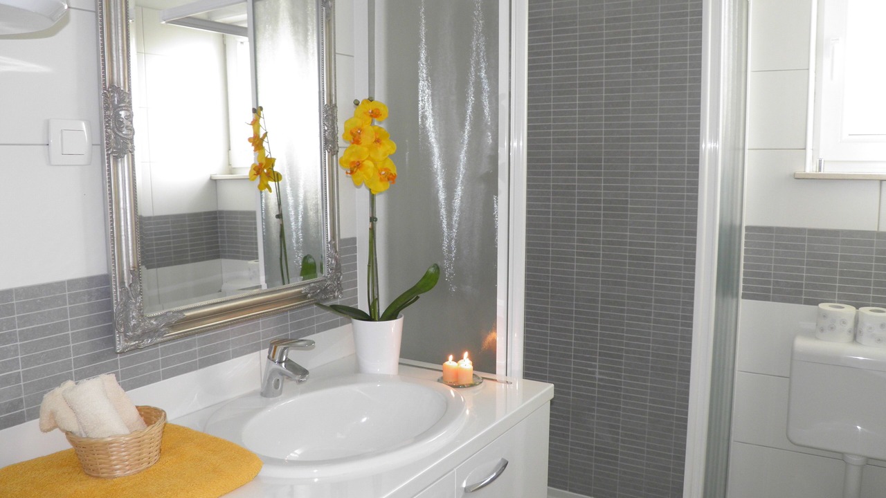 Photo of Bathroom in Dinjiska