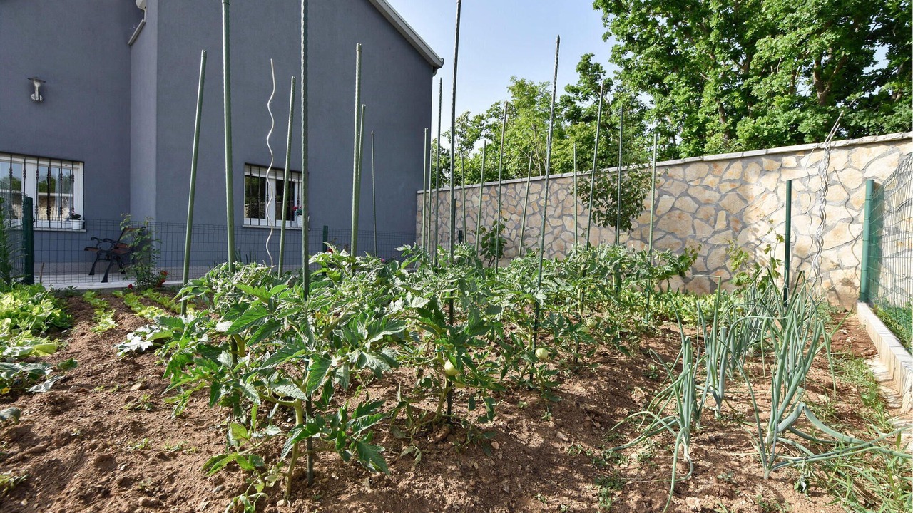 Photo of Outdoor in Dicmo
