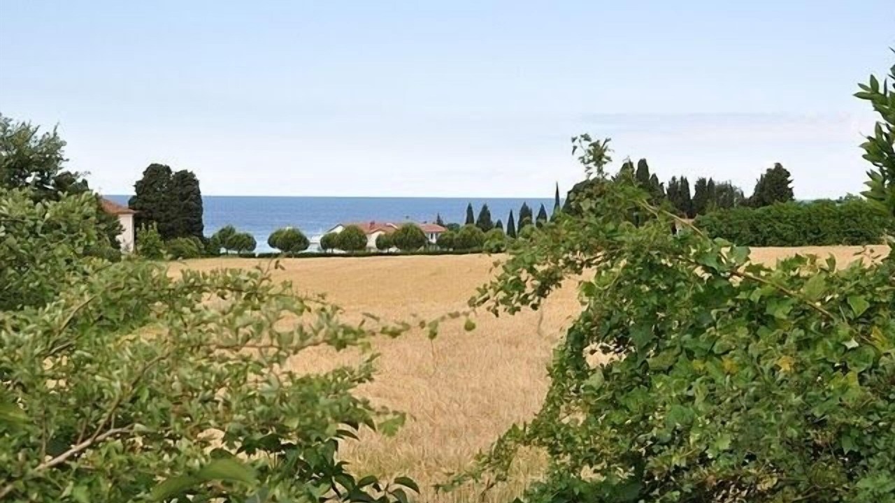 Photo of Others in Savudrija