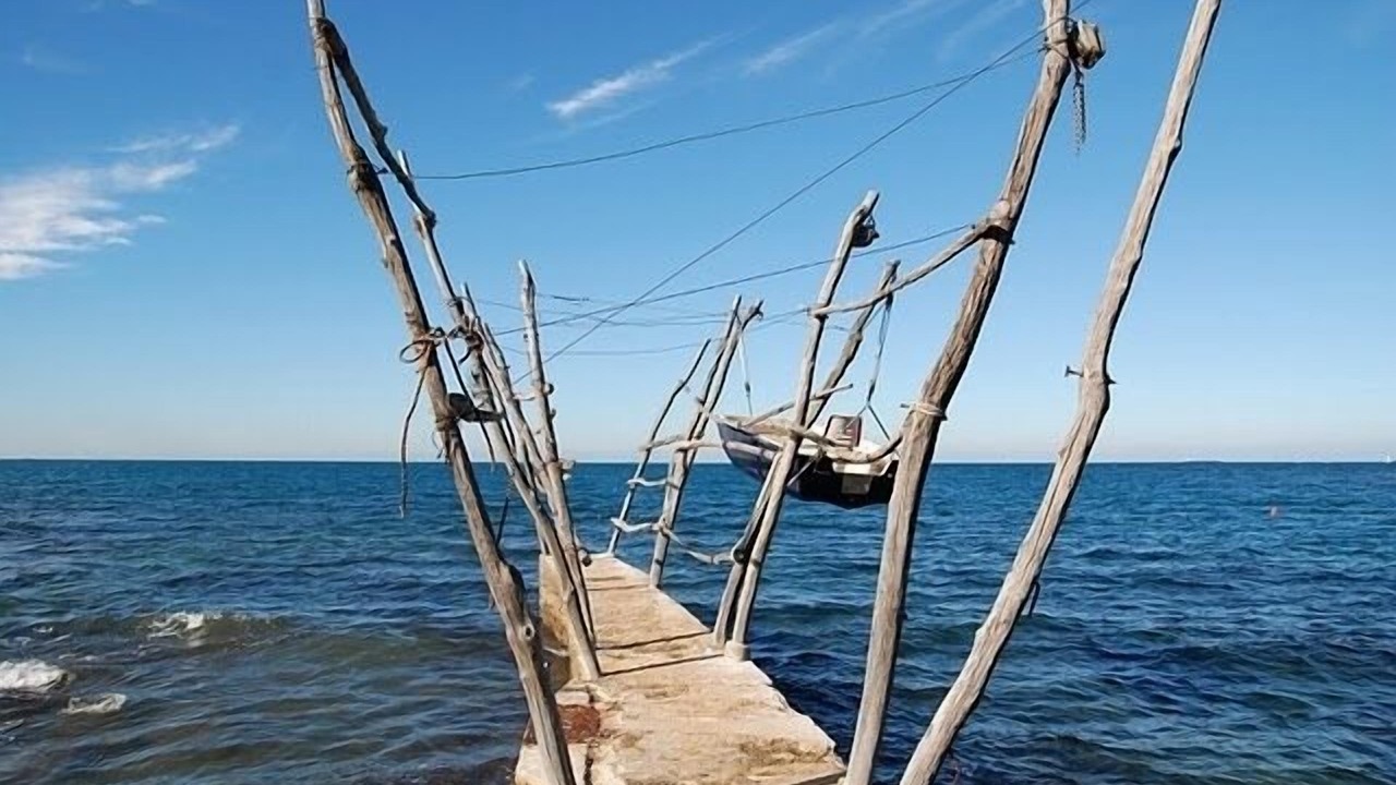 Photo of Others in Savudrija