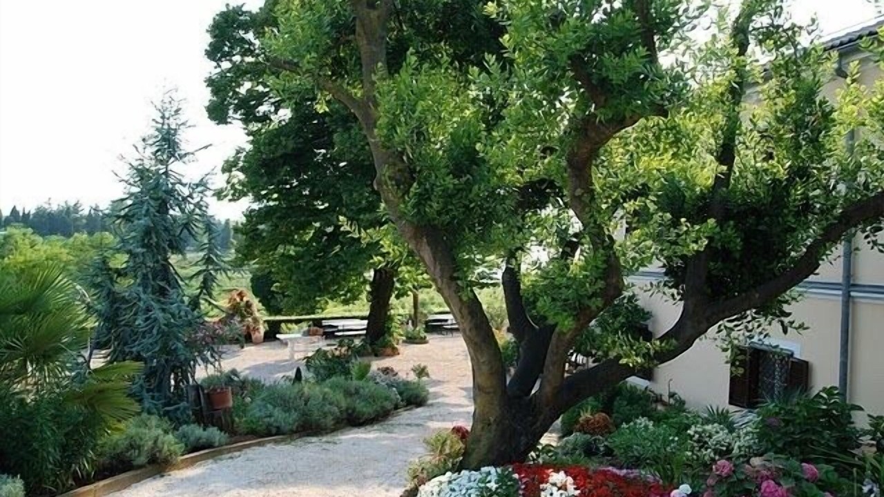 Photo of Outdoor in Savudrija