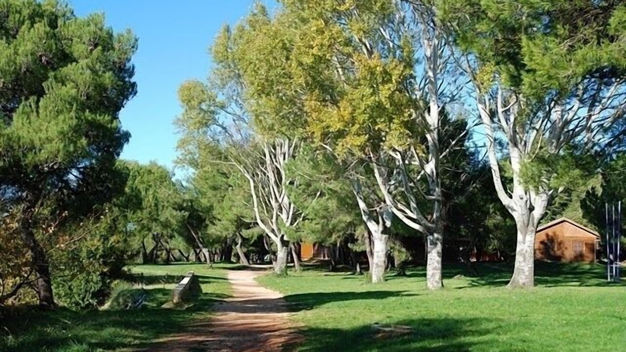 Photo of Others in Savudrija