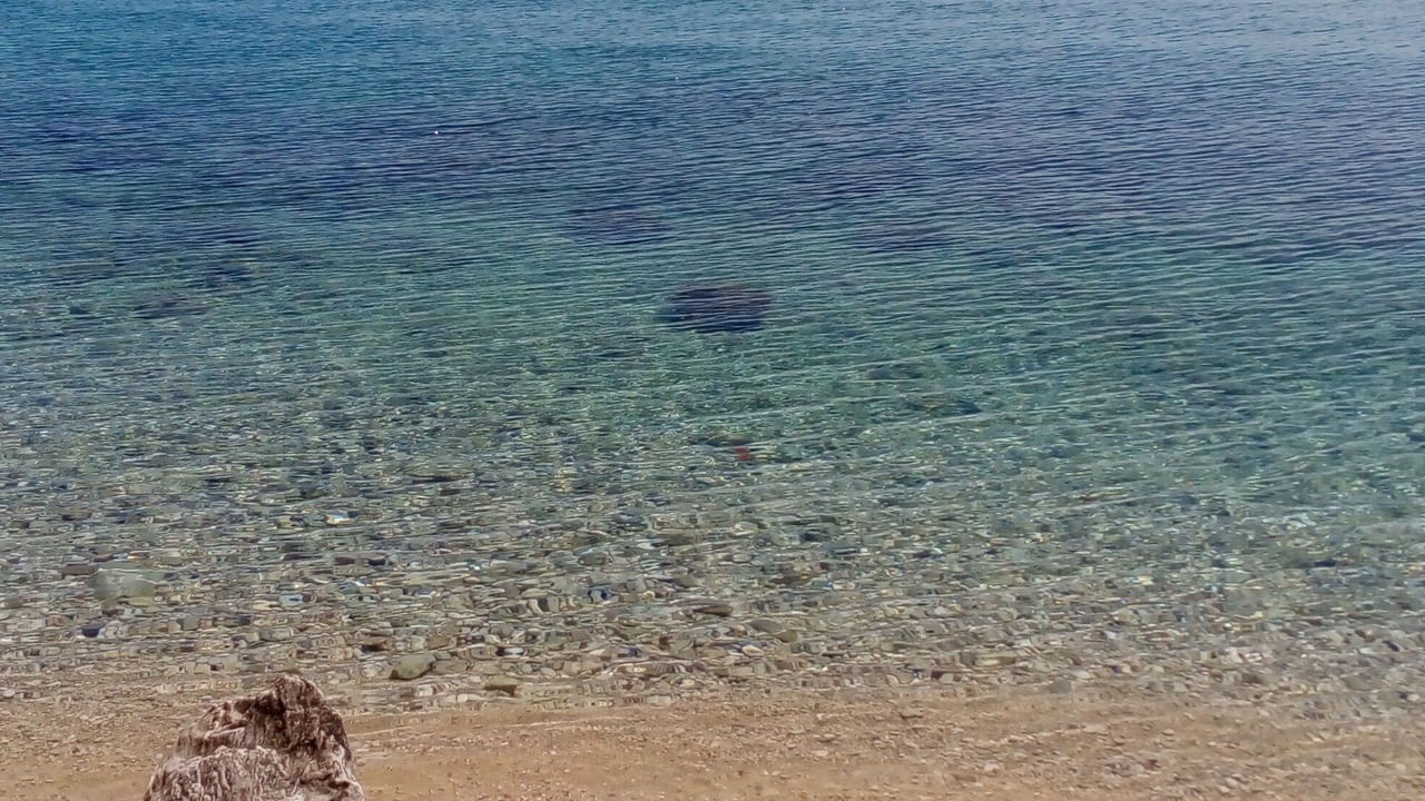 Photo of Others in Marusici