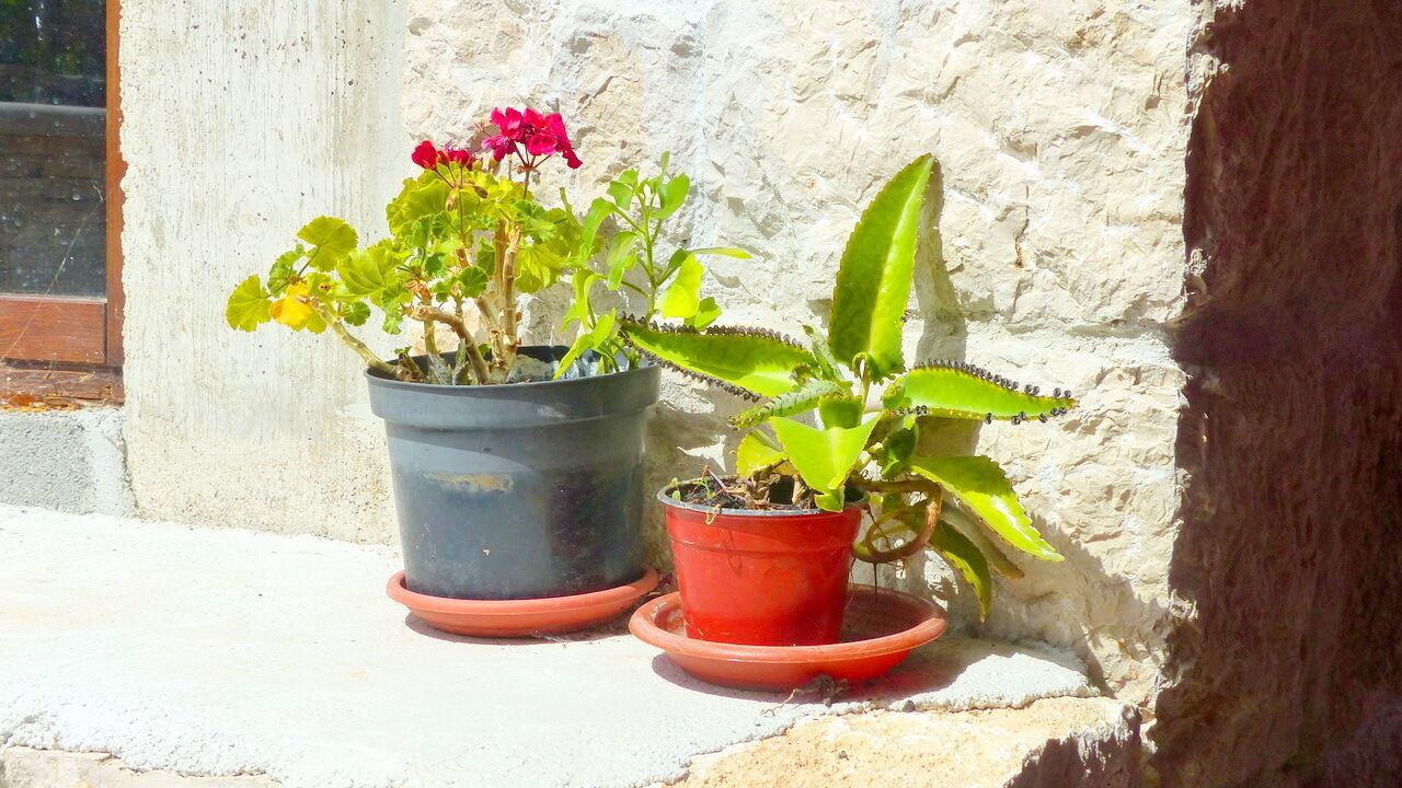 Photo of Outdoor in Donji Dolac