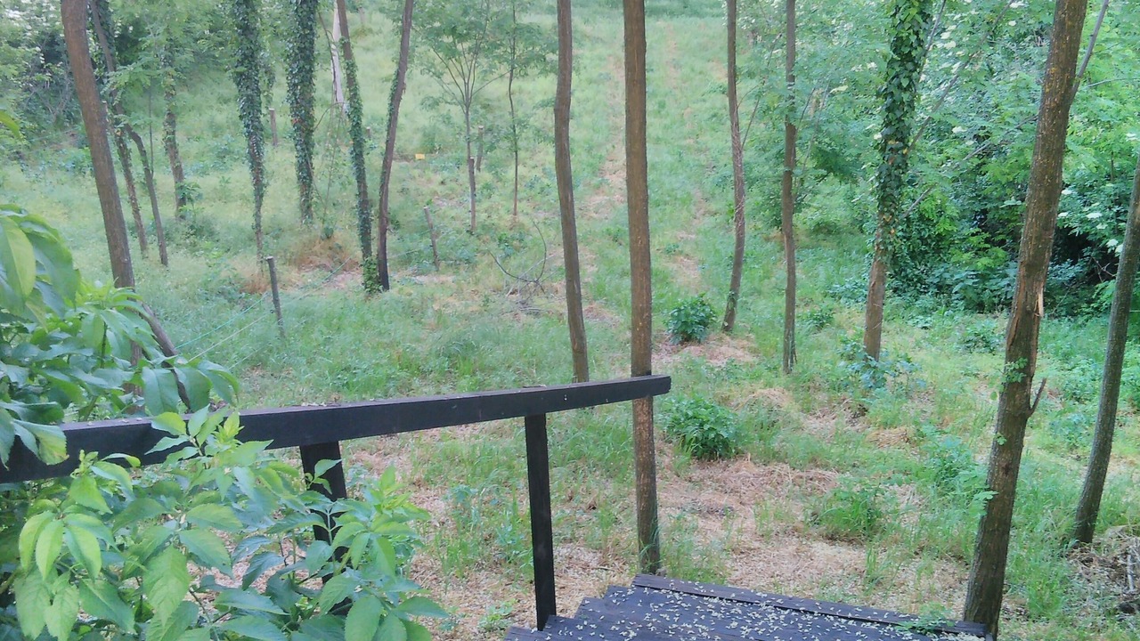 Photo of Outdoor in Slakovci