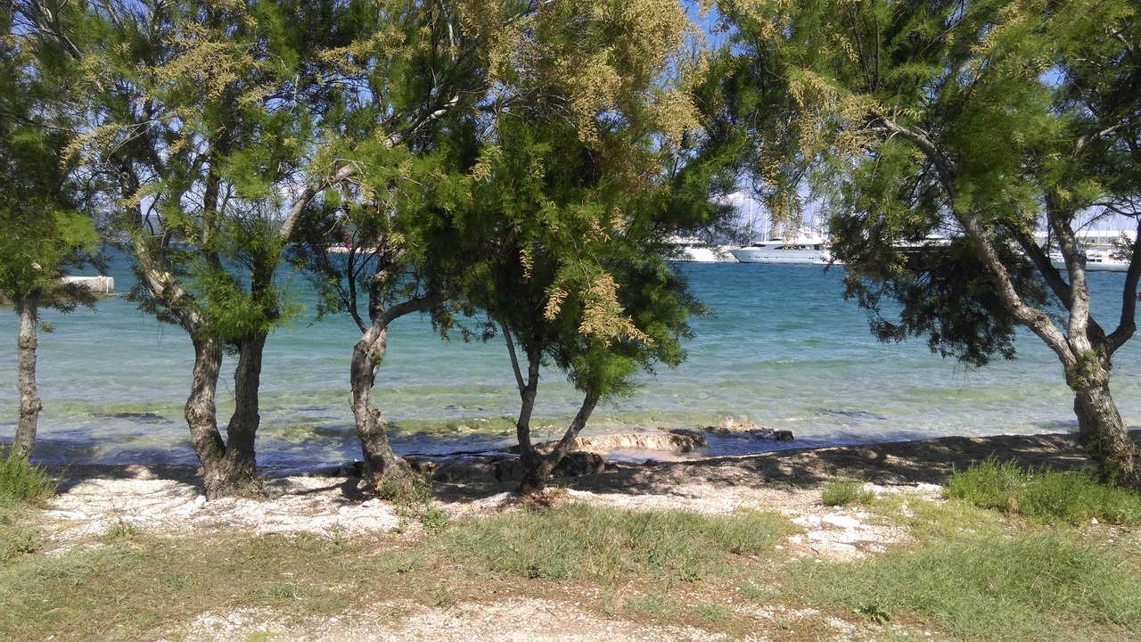 Photo of Others in Municipality of Murter