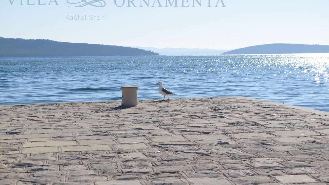 Photo of Others in Kastel Stari