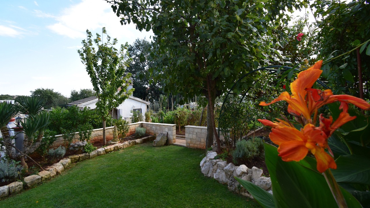 Photo of Outdoor in Pomer