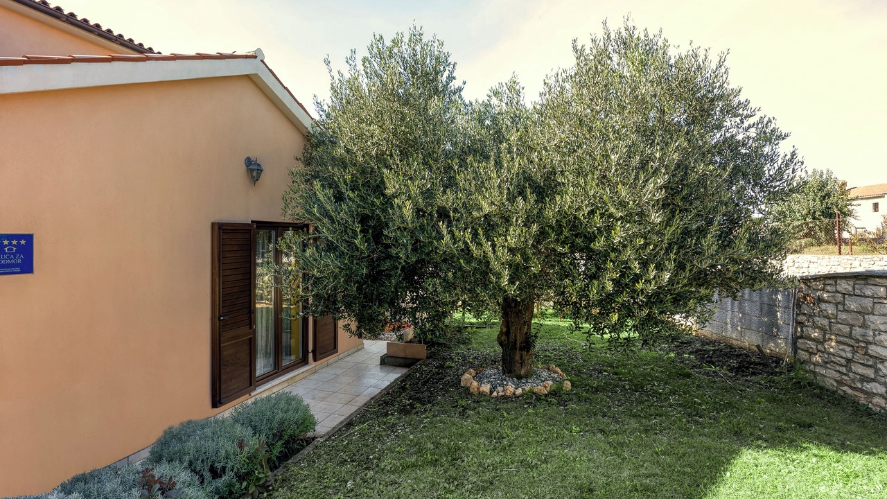 Photo of Outdoor in Kontesici