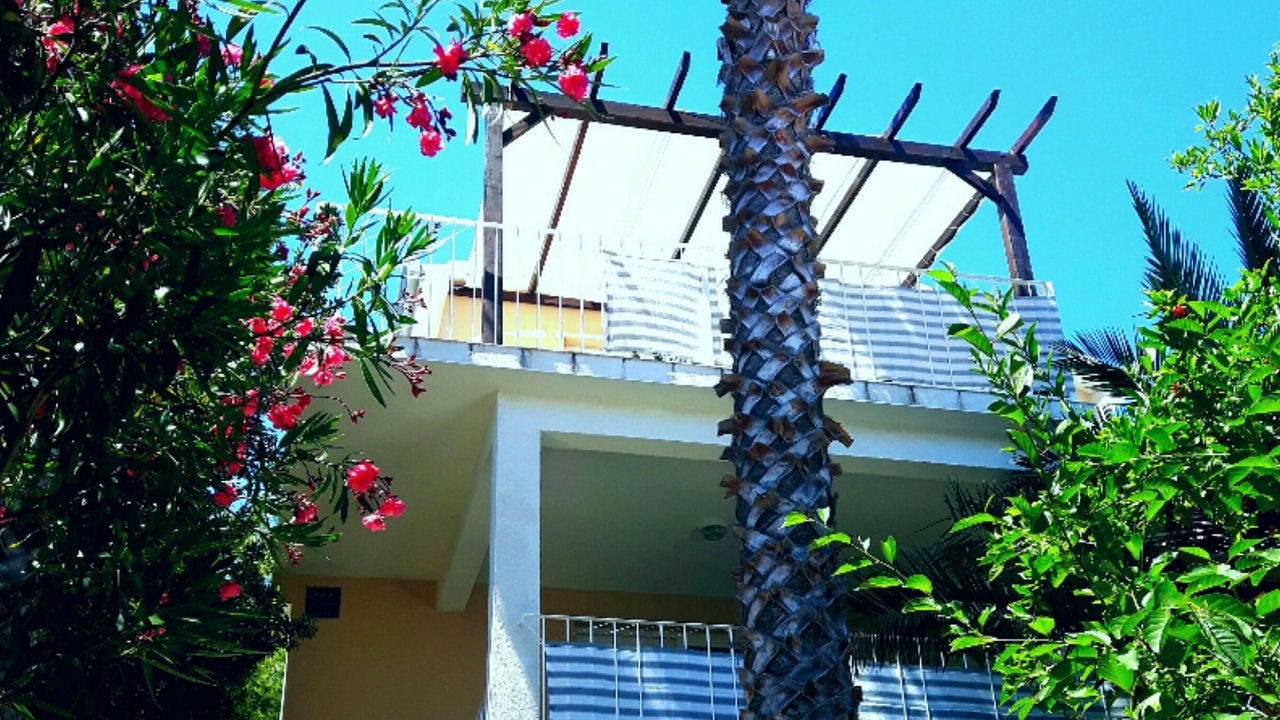 Photo of Outdoor in Milna