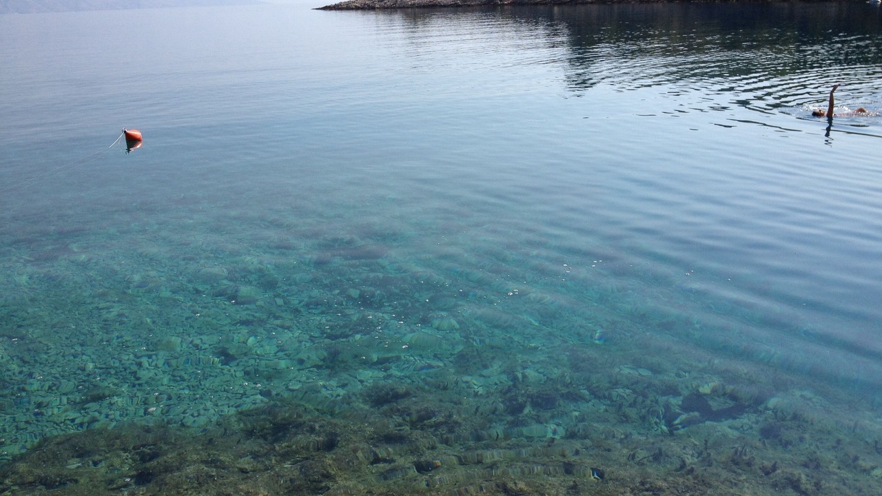 Photo of Others in Cove Basina (Jelsa)