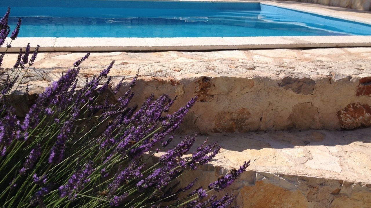 Photo of Outdoor in Cove Basina (Jelsa)