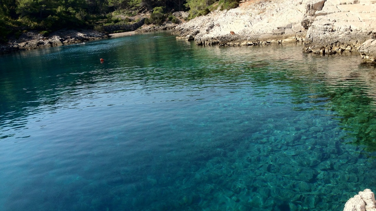 Photo of Others in Cove Basina (Jelsa)