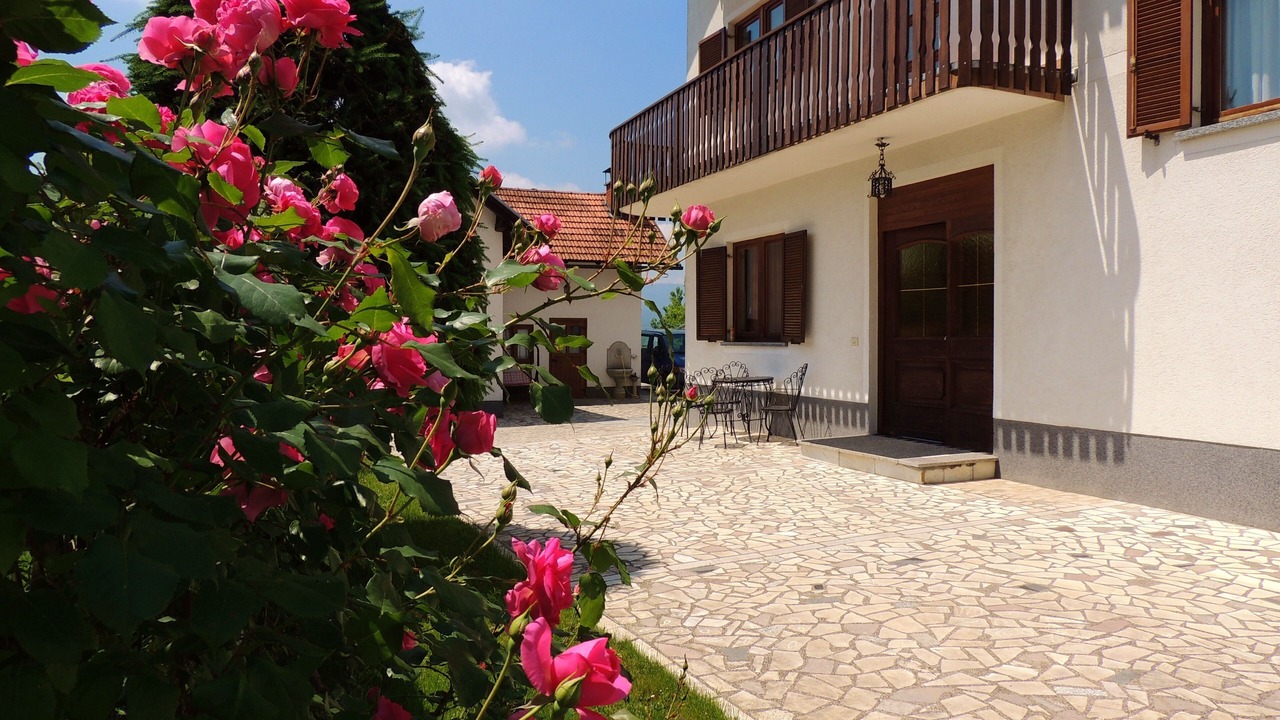 Photo of Outdoor in Dreznik Grad