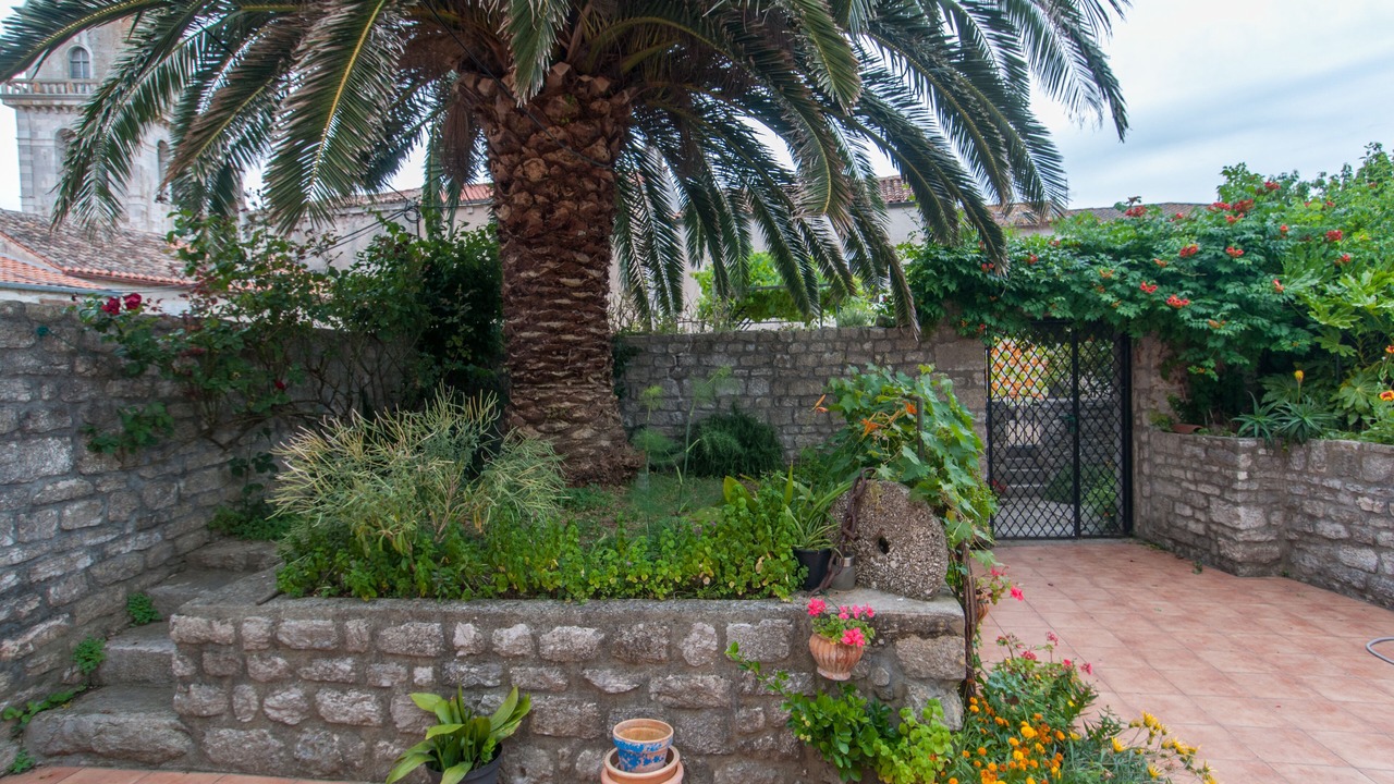 Photo of Outdoor in Mali Losinj