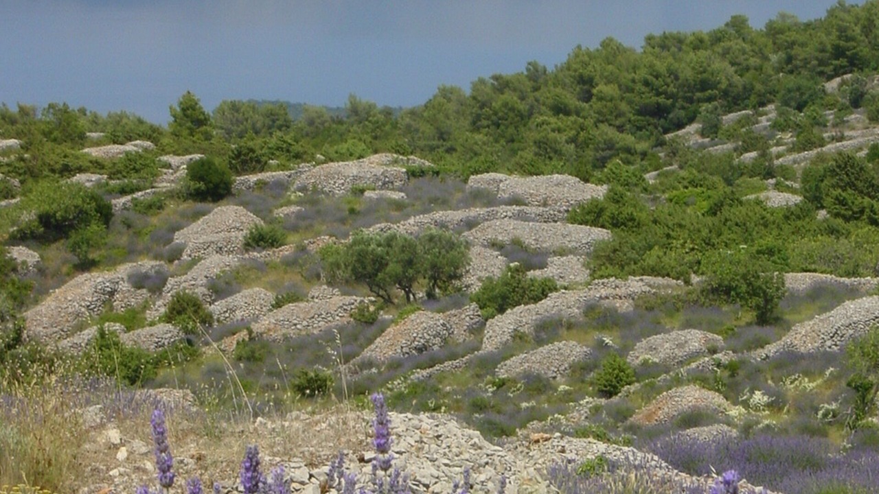 Photo of Others in Pitve