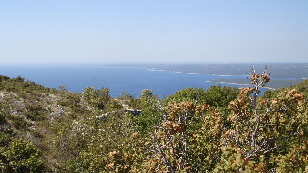 Photo of Others in Stanisovi